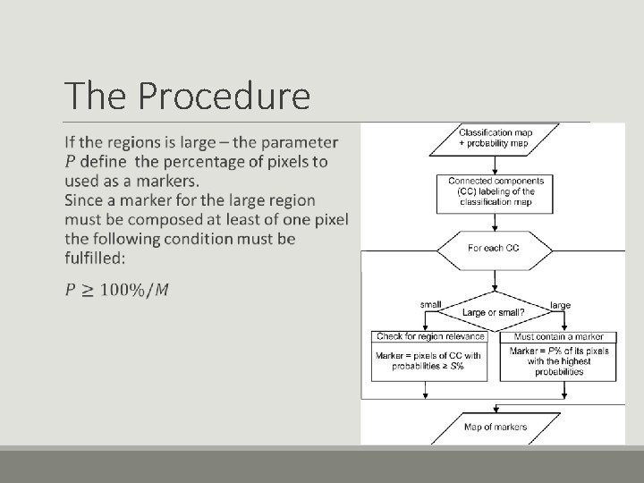 The Procedure 
