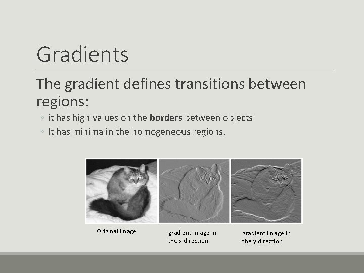 Gradients The gradient defines transitions between regions: ◦ it has high values on the