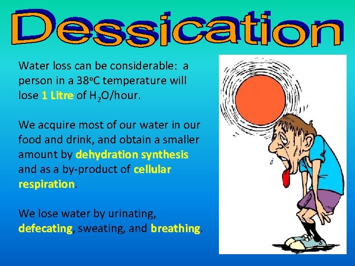 Water loss can be considerable: a person in a 38 o. C temperature will