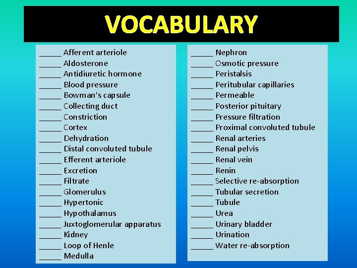 VOCABULARY _____ Afferent arteriole _____ Aldosterone _____ Antidiuretic hormone _____ Blood pressure _____ Bowman’s