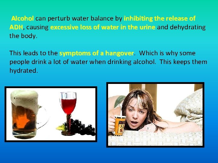  Alcohol can perturb water balance by inhibiting the release of Alcohol ADH, causing