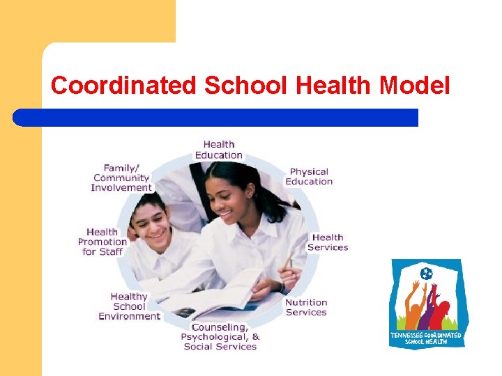 Coordinated School Health Model 