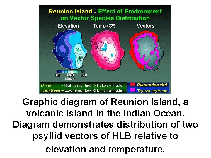 Graphic diagram of Reunion Island, a volcanic island in the Indian Ocean. Diagram demonstrates