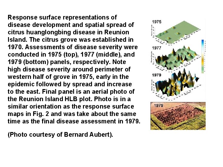 Response surface representations of disease development and spatial spread of citrus huanglongbing disease in