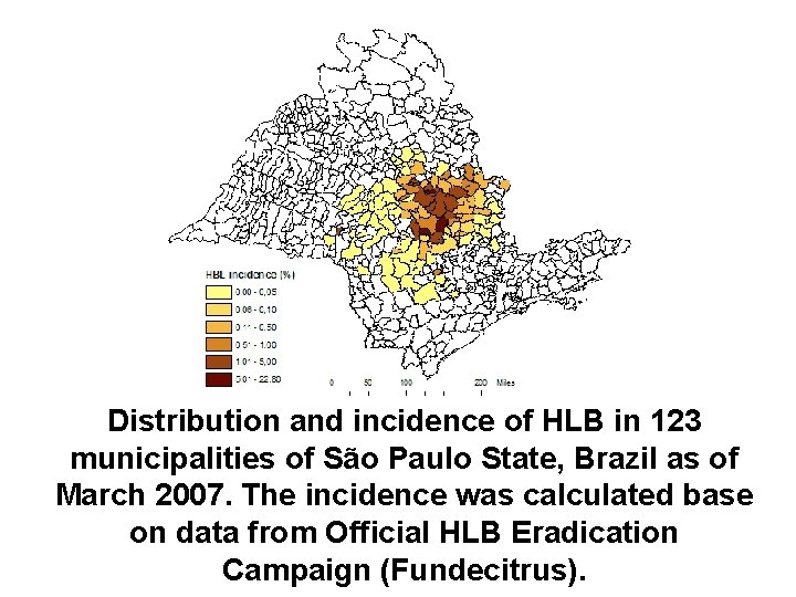 Distribution and incidence of HLB in 123 municipalities of São Paulo State, Brazil as