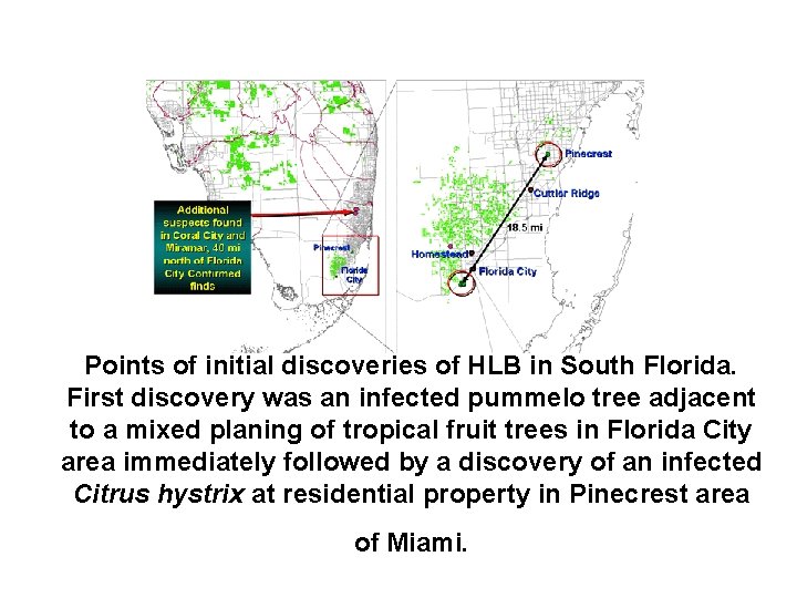 Points of initial discoveries of HLB in South Florida. First discovery was an infected