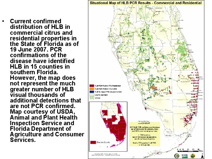  • Current confirmed distribution of HLB in commercial citrus and residential properties in