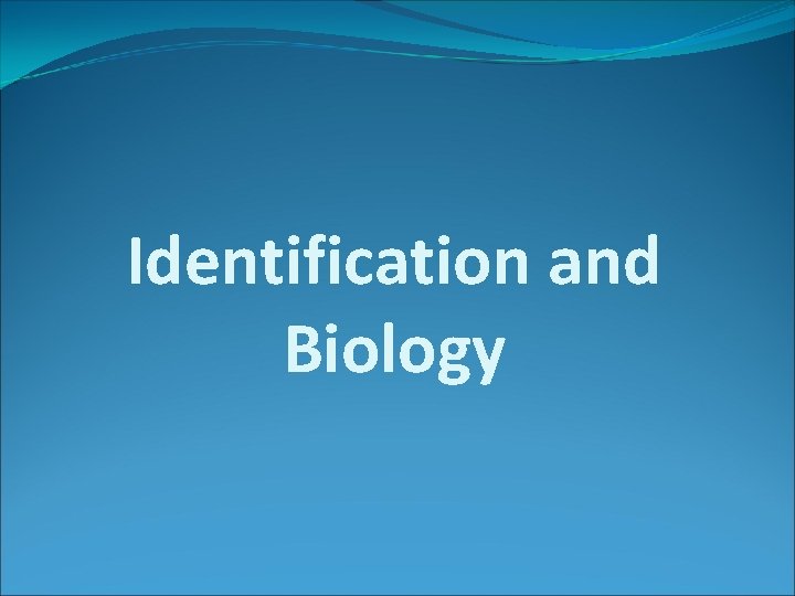 Identification and Biology 