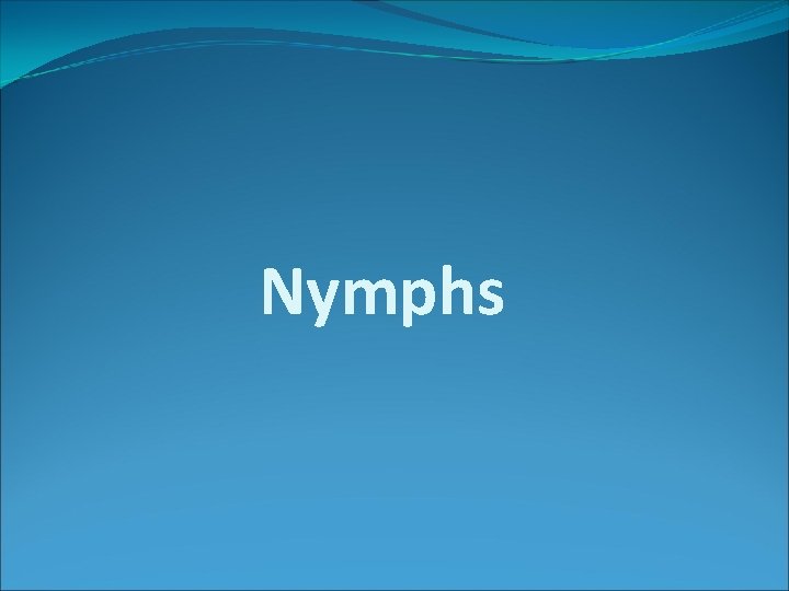 Nymphs 