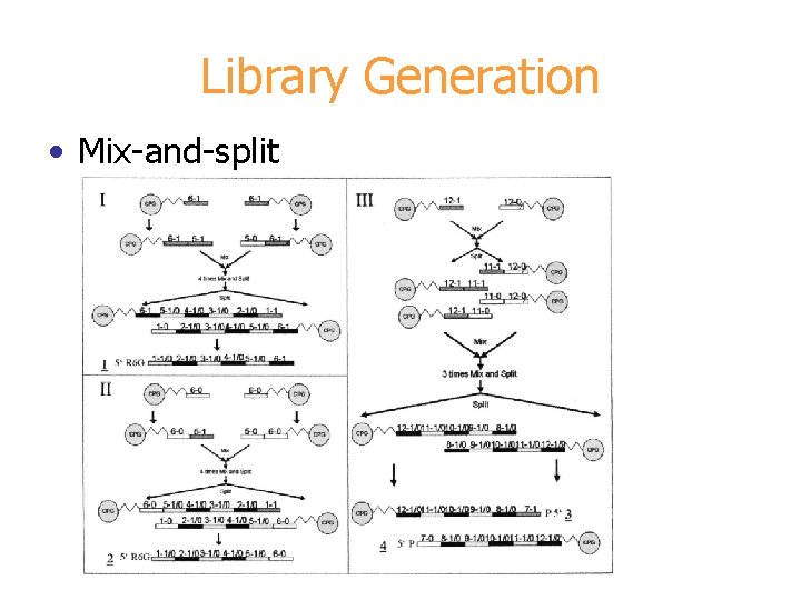 Dna Library Algorithm DNA Library Design for Molecular Computation R Penchovsky
