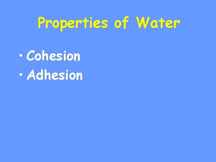 Properties of Water • Cohesion • Adhesion 