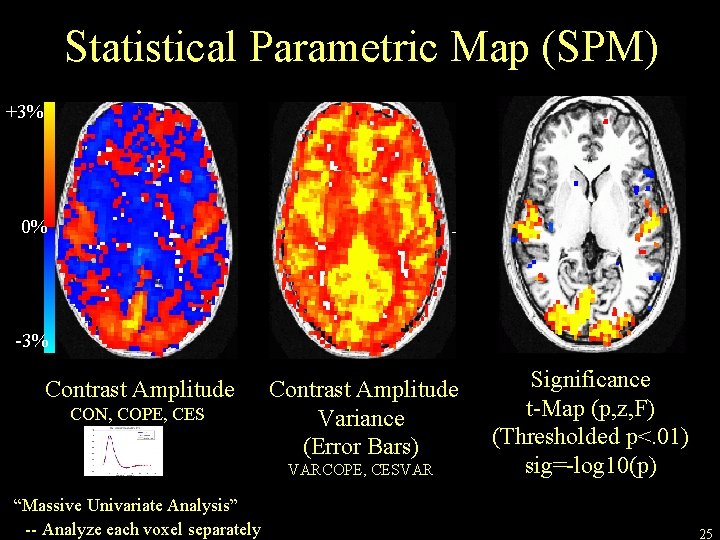 Statistical Parametric Map (SPM) +3% 0% -3% Contrast Amplitude CON, COPE, CES Contrast Amplitude