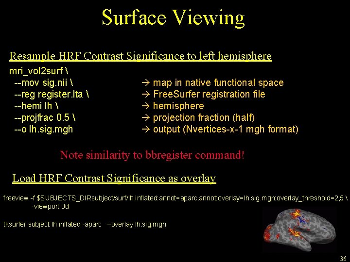 Surface Viewing Resample HRF Contrast Significance to left hemisphere mri_vol 2 surf  --mov