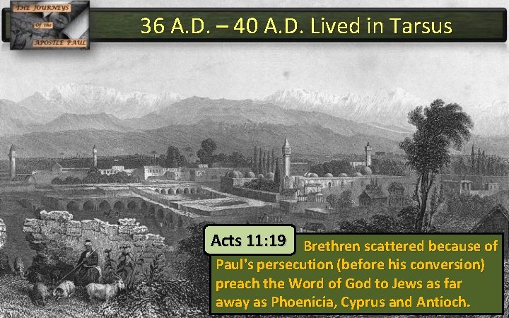 36 A. D. – 40 A. D. Lived in Tarsus Acts 11: 19 Brethren