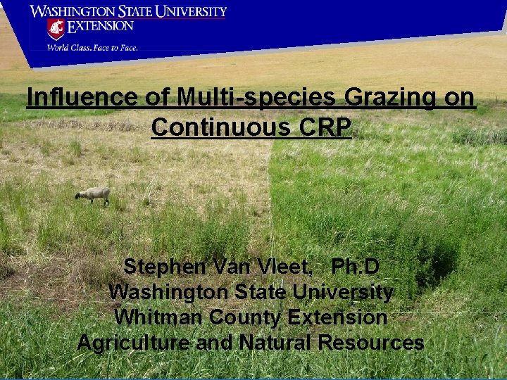 Influence of Multi-species Grazing on Continuous CRP Stephen Van Vleet, Ph. D Washington State