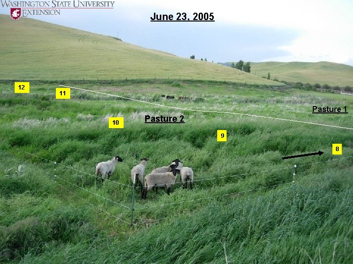 June 23, 2005 12 11 Pasture 1 10 Pasture 2 9 8 