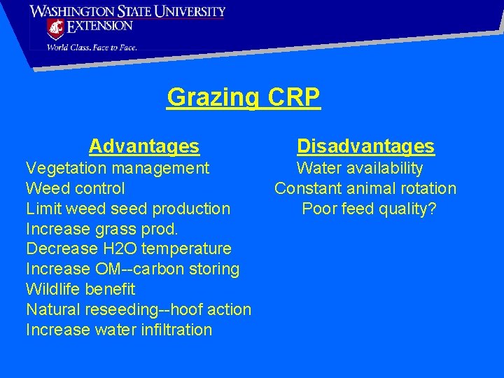 Grazing CRP Advantages Vegetation management Weed control Limit weed seed production Increase grass prod.