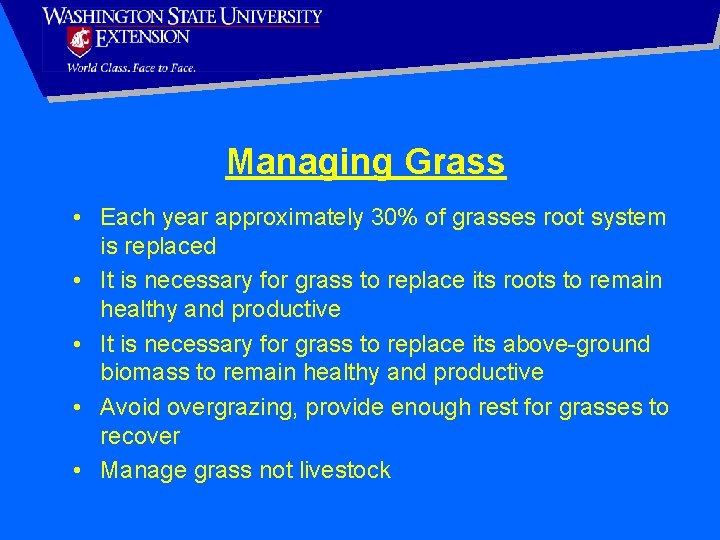 Managing Grass • Each year approximately 30% of grasses root system is replaced •