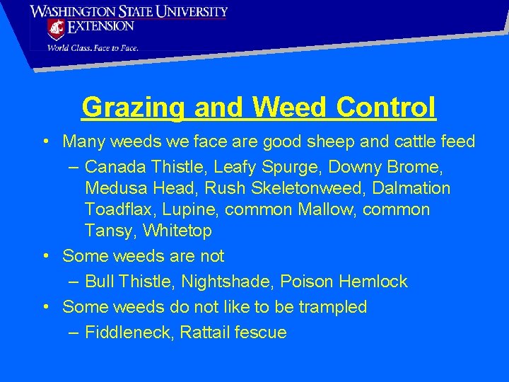 Grazing and Weed Control • Many weeds we face are good sheep and cattle