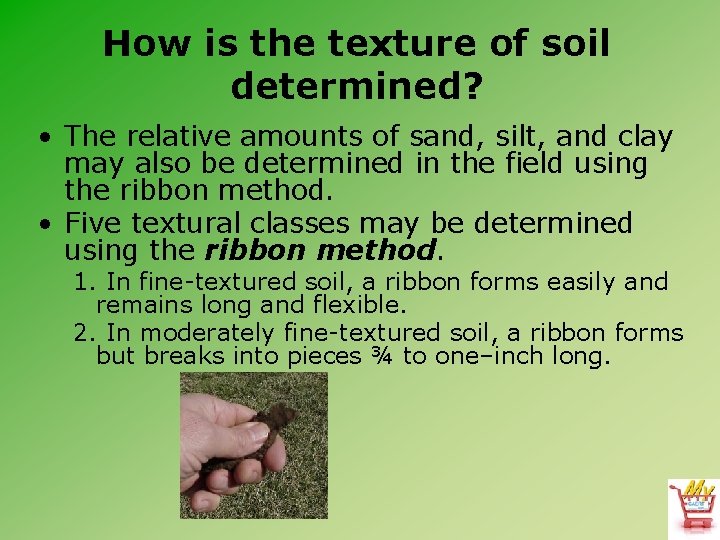 How is the texture of soil determined? • The relative amounts of sand, silt,