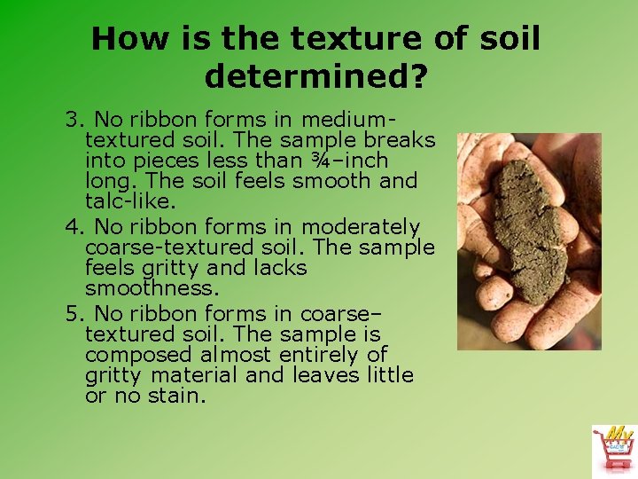 How is the texture of soil determined? 3. No ribbon forms in mediumtextured soil.