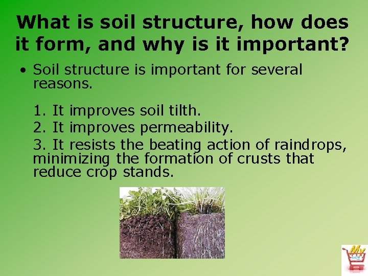 What is soil structure, how does it form, and why is it important? •