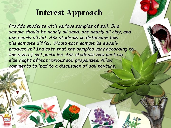 Interest Approach Provide students with various samples of soil. One sample should be nearly