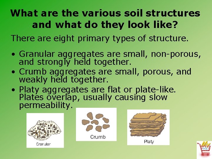 What are the various soil structures and what do they look like? There are