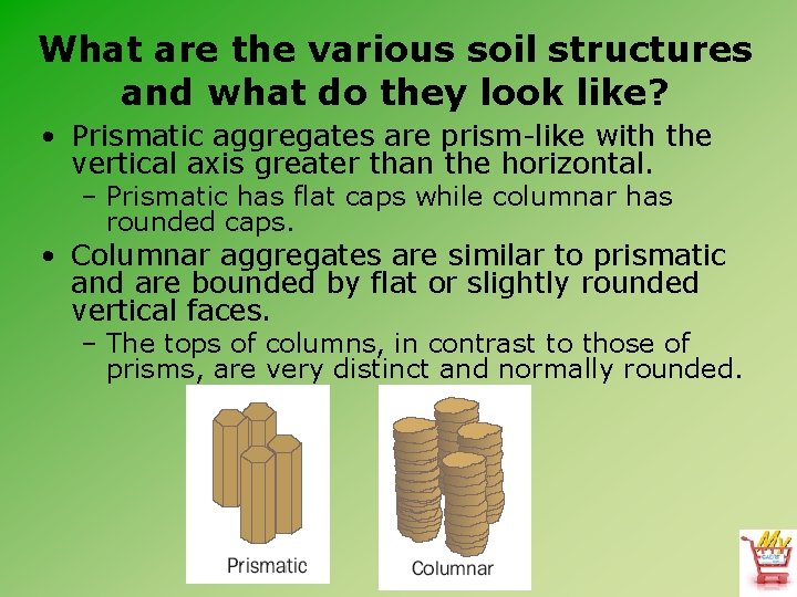 What are the various soil structures and what do they look like? • Prismatic