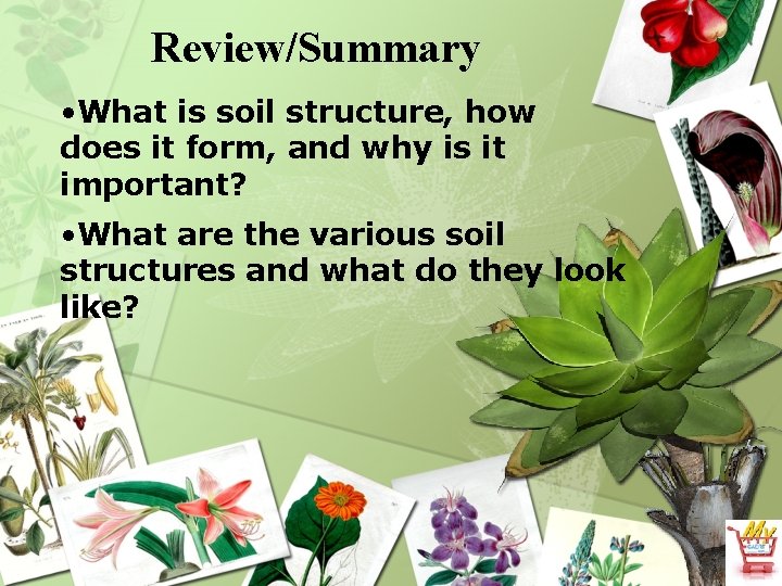 Review/Summary • What is soil structure, how does it form, and why is it