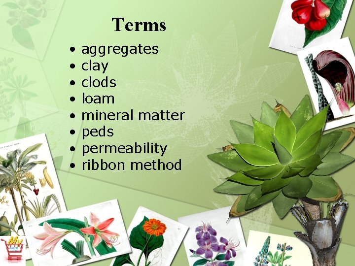 Terms • • aggregates clay clods loam mineral matter peds permeability ribbon method 
