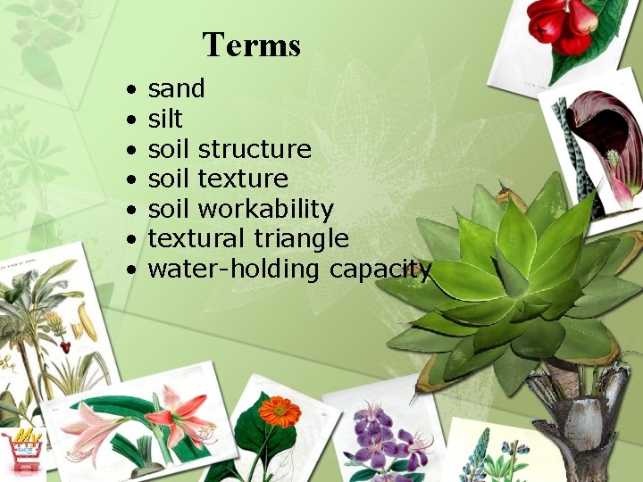 Terms • • sand silt soil structure soil texture soil workability textural triangle water-holding