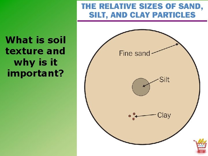 What is soil texture and why is it important? 