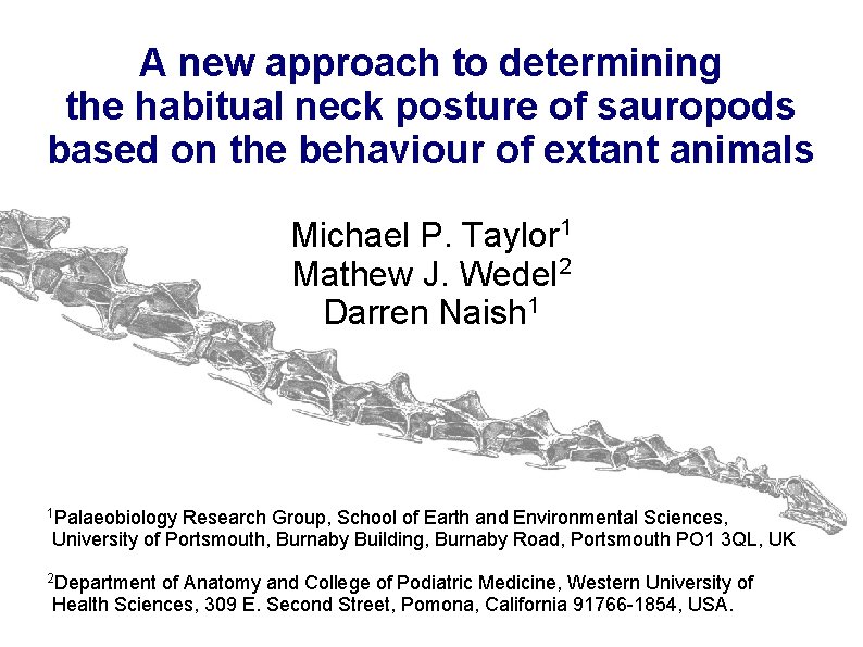 A new approach to determining the habitual neck posture of sauropods based on the