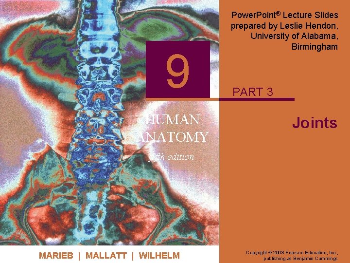 9 HUMAN ANATOMY Power. Point® Lecture Slides prepared by Leslie Hendon, University of Alabama,