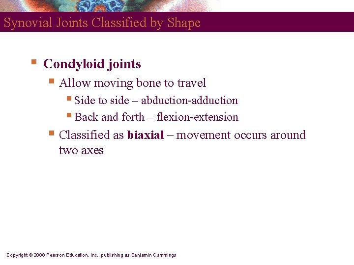 Synovial Joints Classified by Shape § Condyloid joints § Allow moving bone to travel