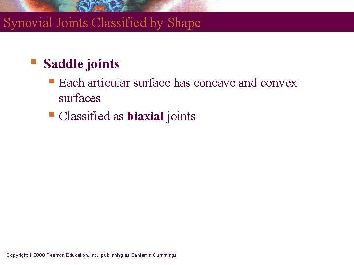 Synovial Joints Classified by Shape § Saddle joints § Each articular surface has concave