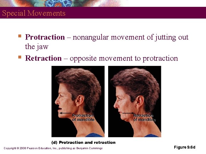 Special Movements § § Protraction – nonangular movement of jutting out the jaw Retraction