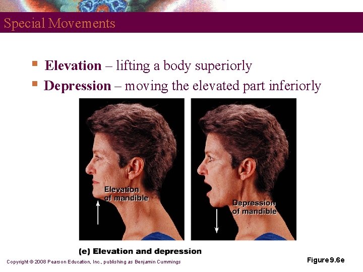 Special Movements § § Elevation – lifting a body superiorly Depression – moving the