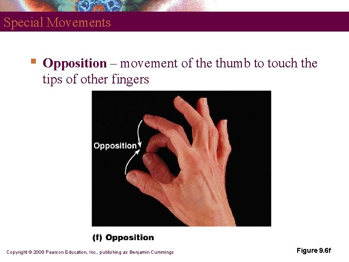 Special Movements § Opposition – movement of the thumb to touch the tips of