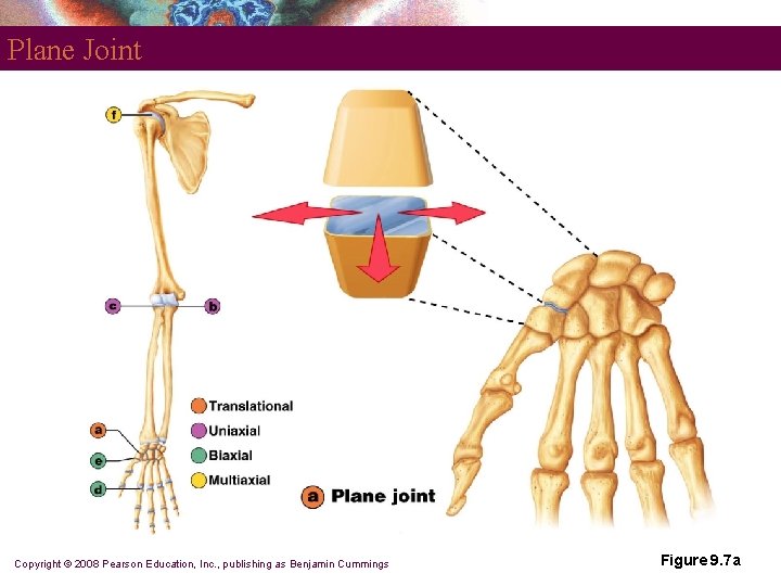 Plane Joint Copyright © 2008 Pearson Education, Inc. , publishing as Benjamin Cummings Figure