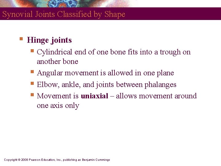 Synovial Joints Classified by Shape § Hinge joints § Cylindrical end of one bone