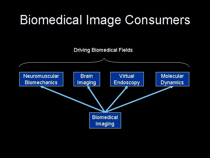 Biomedical Image Consumers Driving Biomedical Fields Neuromuscular Biomechanics Brain Imaging Virtual Endoscopy Biomedical Imaging Biomedical Image Consumers Driving Biomedical Fields Neuromuscular Biomechanics Brain Imaging Virtual Endoscopy Biomedical Imaging