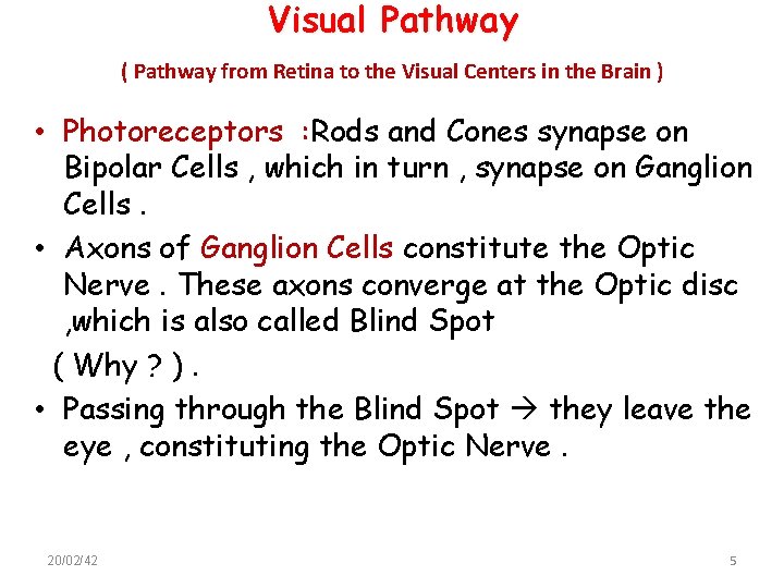 Visual Pathway ( Pathway from Retina to the Visual Centers in the Brain ) Visual Pathway ( Pathway from Retina to the Visual Centers in the Brain )
