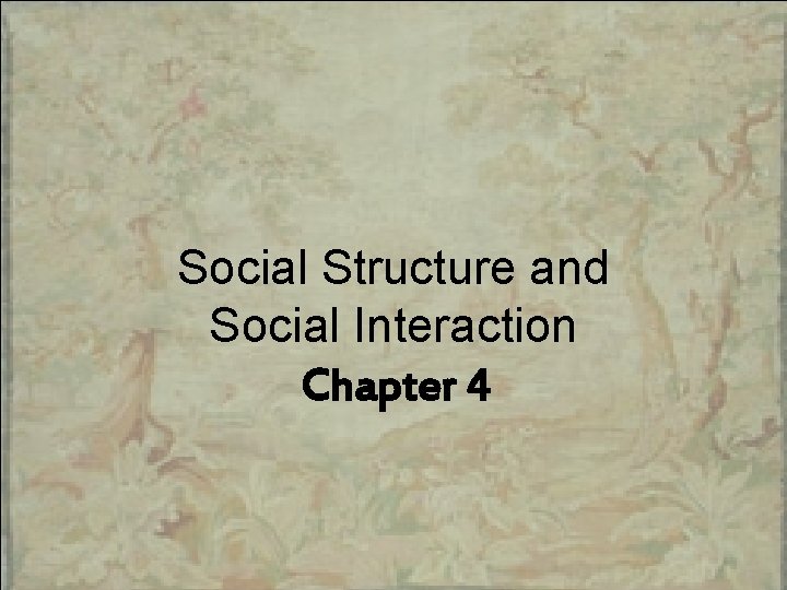 Social Structure and Social Interaction Chapter 4 