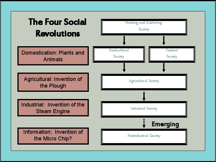 The Four Social Revolutions Domestication: Plants and Animals Hunting and Gathering Society Horticultural Society