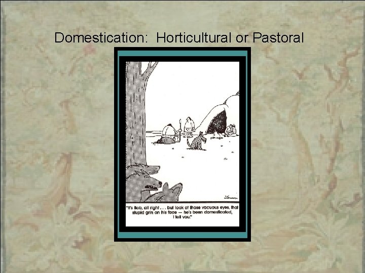 Domestication: Horticultural or Pastoral 