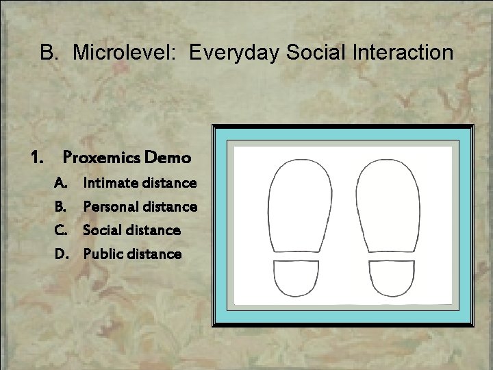 B. Microlevel: Everyday Social Interaction 1. Proxemics Demo A. B. C. D. Intimate distance