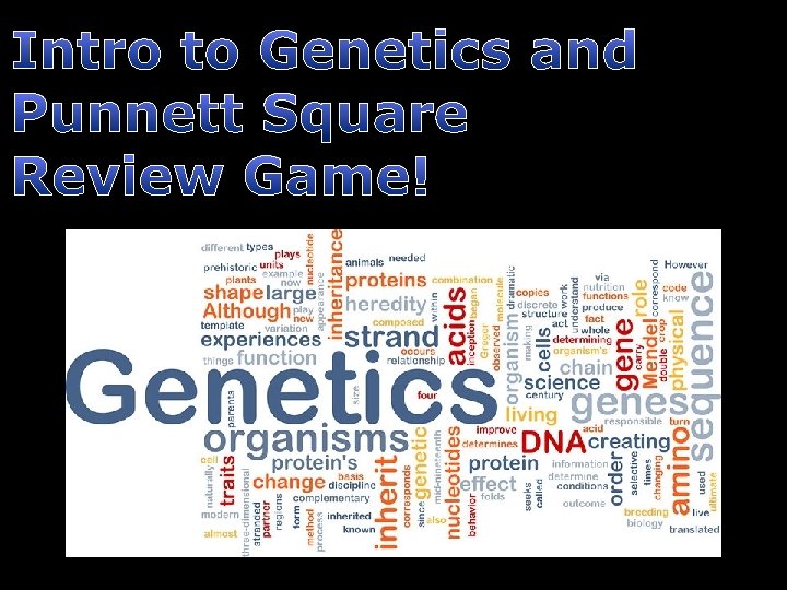 Intro to Genetics and Punnett Square Review Game! 