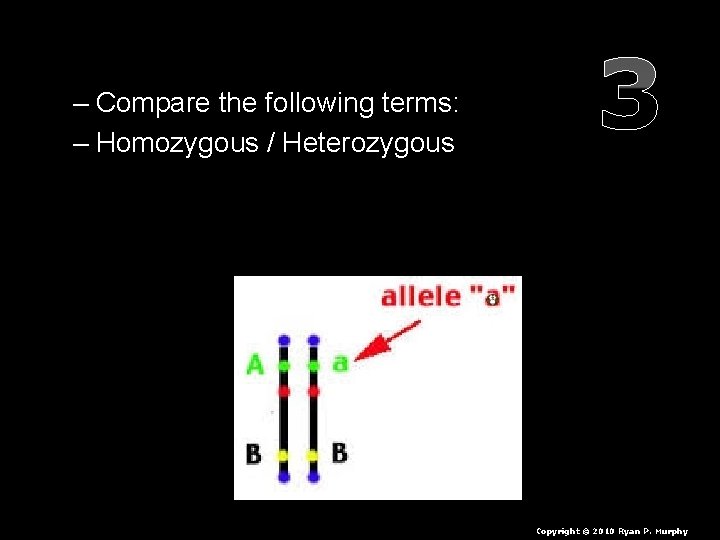 – Compare the following terms: – Homozygous / Heterozygous 3 Copyright © 2010 Ryan